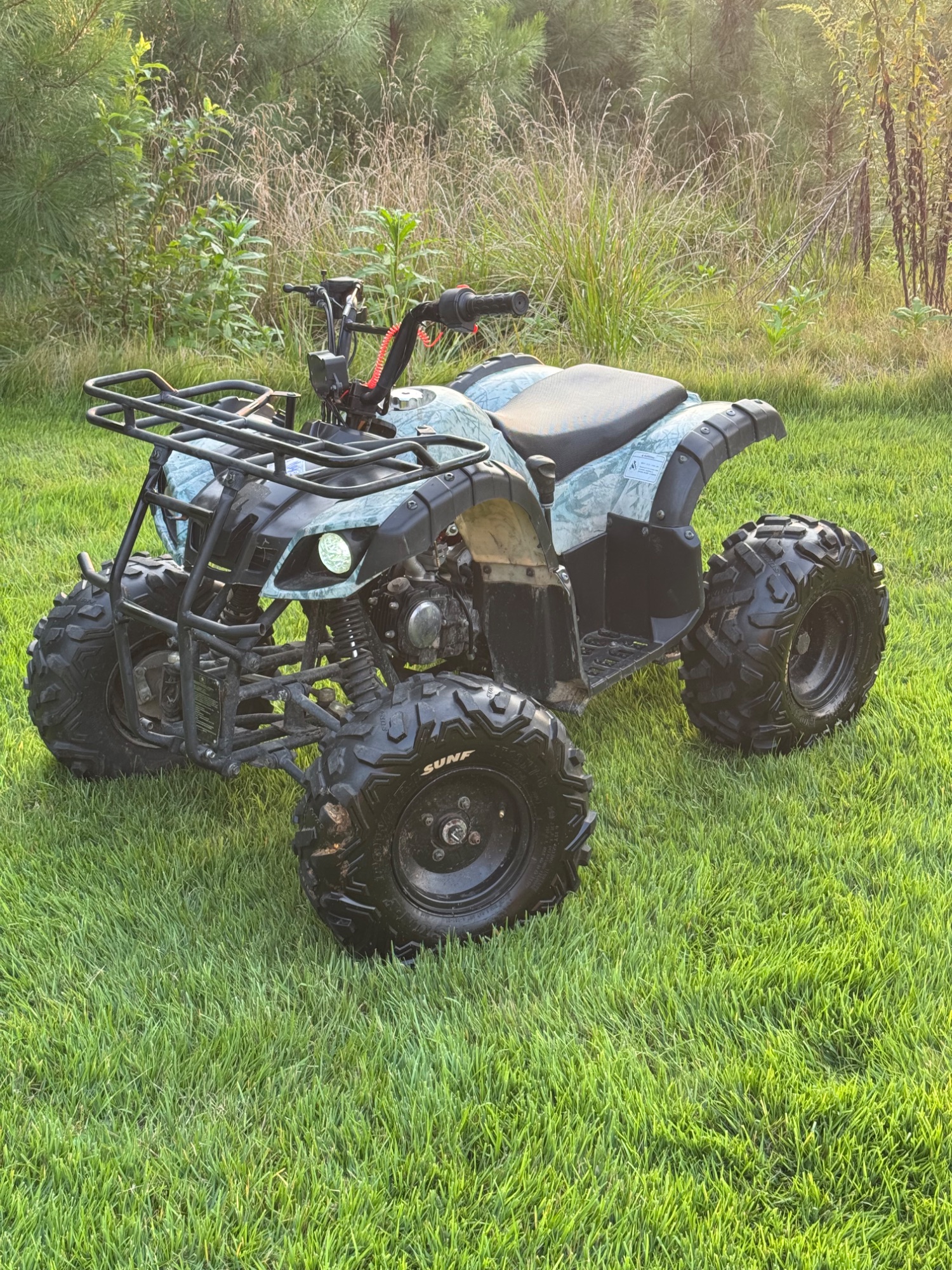 Tao Tao 125cc